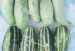 各种网红爆料吃瓜网,吃瓜网带你探秘娱乐圈幕后真相