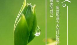 吃瓜爆料正能量图片高清,正能量图片高清解析